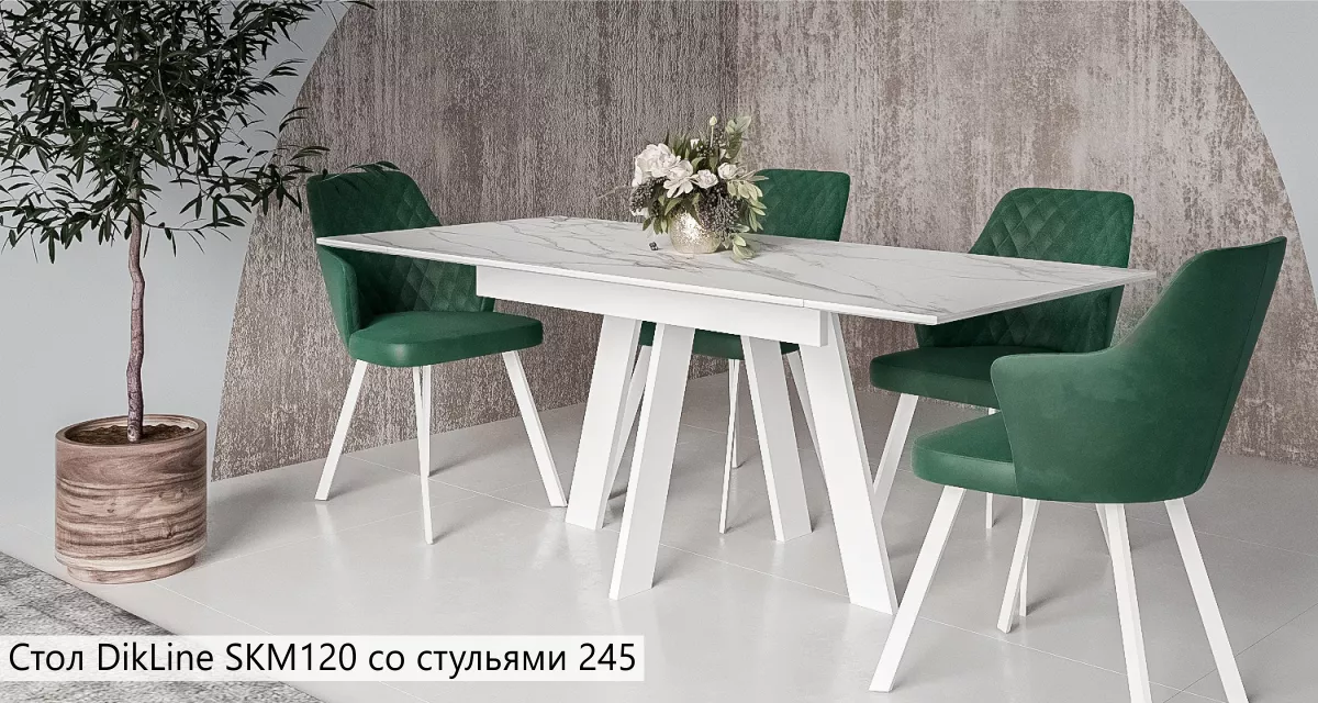 Стол DikLine SKM120 со стульями 245