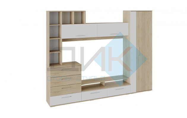 Ненси гостиная (дуб сонома / белый ясень)