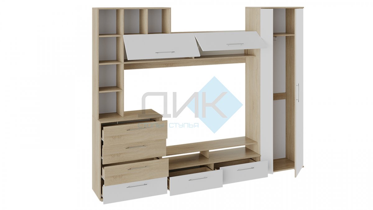 Ненси гостиная (дуб сонома / белый ясень)